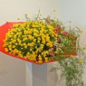 IMG_5792.jpg