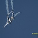 IMG01904_L.jpg