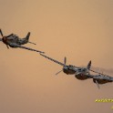 IMG04759_L.jpg
