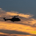 IMG04945_L.jpg