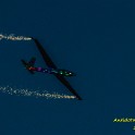 IMG05191_L.jpg