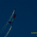 IMG05199_L.jpg